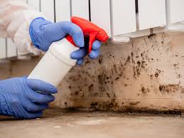 Best Forensic Mold Investigation in Moorhead, MS